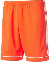 Adidas Squadra 17 shortsit, oranssi hinta ja tiedot | Jalkapallovaatteet ja -varusteet | hobbyhall.fi