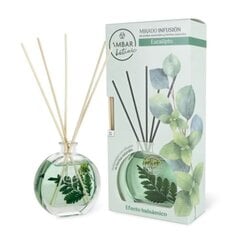 Kotituoksu puikoilla Ambar Botanic Eucalyptus, 75 ml hinta ja tiedot | Huonetuoksut | hobbyhall.fi