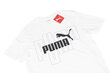 Miesten t-paita Puma Graphics No. 1 Logo Tee 677183 02, valkoinen hinta ja tiedot | Miesten T-paidat | hobbyhall.fi