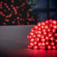 Sisäseppele 100led, punainen hinta ja tiedot | Jouluvalot | hobbyhall.fi