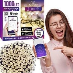 Smart 1000 LED-seppele, lämpimän valkoinen hinta ja tiedot | Jouluvalot | hobbyhall.fi