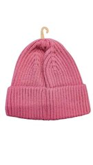 Hattu Fila Butte Fisherman Beanie hinta ja tiedot | Naisten päähineet | hobbyhall.fi