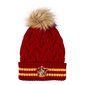 Talvihattu lapsille Harry Potter Gryffindor hinta ja tiedot | Poikien hatut, huivit ja käsineet | hobbyhall.fi