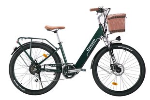 Sähköpyörä Cysum CityRun, 26", 250W, 10Ah, vihreä hinta ja tiedot | Sähköpyörät | hobbyhall.fi