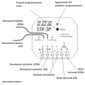 STR-3P yleiskäyttöinen rullaverhon ohjain hinta ja tiedot | Kytkimet ja pistorasiat | hobbyhall.fi
