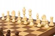 Ammattimainen turnausshakkisarja Sunrise Chess & Games 40 x 40 cm hinta ja tiedot | Lautapelit ja älypelit | hobbyhall.fi