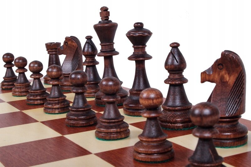 Puinen turnausshakki Sunrise Chess & Games, 54 x 54 cm hinta ja tiedot | Lautapelit ja älypelit | hobbyhall.fi