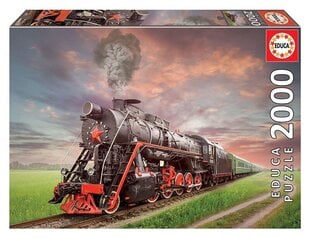 Puzzle Train, 2000 kappaletta hinta ja tiedot | Palapelit | hobbyhall.fi