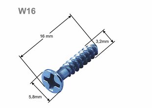 Kiinnitysruuvit 16 mm W16 rasioille (100 kpl) hinta ja tiedot | Kiinnitystarvikkeet | hobbyhall.fi