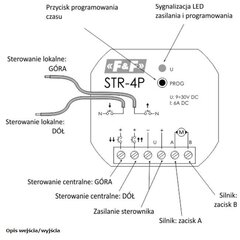 STR-4P yleiskäyttöinen rullaverhon ohjain hinta ja tiedot | Muuntimet ja invertterit | hobbyhall.fi