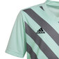 Lasten paita Adidas Entrada 22 Graphic Jersey HF0127, minttu/harmaa hinta ja tiedot | Jalkapallovaatteet ja -varusteet | hobbyhall.fi