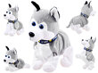 Interaktiivinen husky-koira hinta ja tiedot | Pehmolelut | hobbyhall.fi