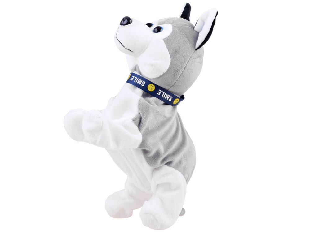 Interaktiivinen husky-koira hinta ja tiedot | Pehmolelut | hobbyhall.fi