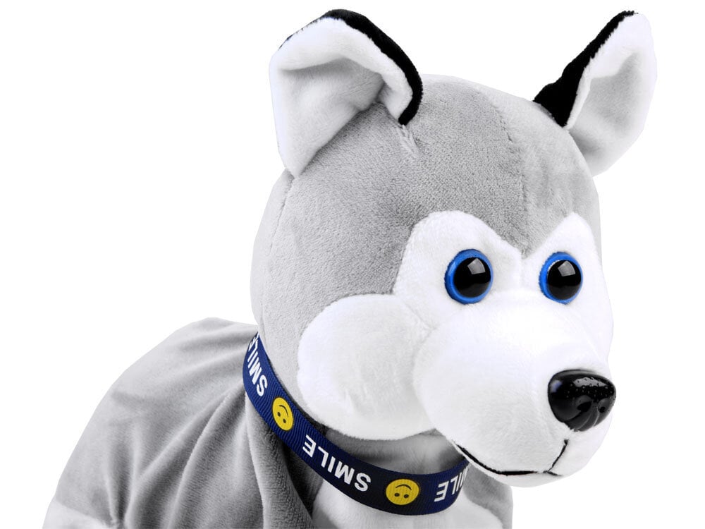 Interaktiivinen husky-koira hinta ja tiedot | Pehmolelut | hobbyhall.fi