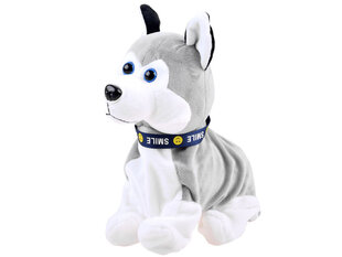 Interaktiivinen husky-koira hinta ja tiedot | Pehmolelut | hobbyhall.fi