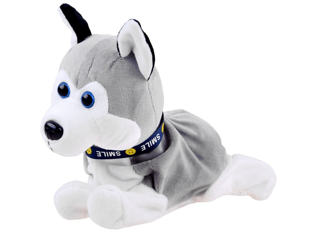 Interaktiivinen husky-koira hinta ja tiedot | Pehmolelut | hobbyhall.fi