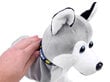 Interaktiivinen husky-koira hinta ja tiedot | Pehmolelut | hobbyhall.fi