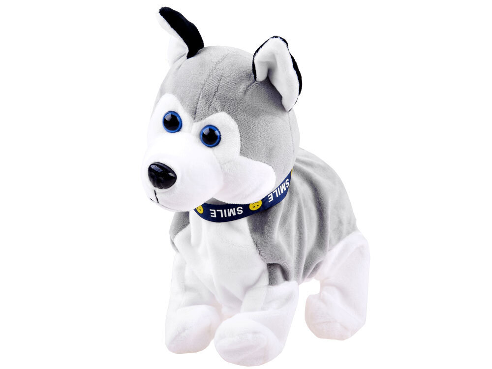 Interaktiivinen husky-koira hinta ja tiedot | Pehmolelut | hobbyhall.fi