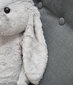 Big Pehmo Bunny Bani 50 cm, harmaa, pehmeä lelu hinta ja tiedot | Pehmolelut | hobbyhall.fi