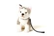 Pehmo koira Husky talutushihnalla Uni-Toys, 24cm hinta ja tiedot | Pehmolelut | hobbyhall.fi