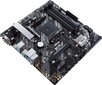 Asus 90MB15Z0-M0EAY0 hinta ja tiedot | Emolevyt | hobbyhall.fi