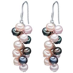 Valero Pearls korvakorut hinta ja tiedot | Korusetit | hobbyhall.fi