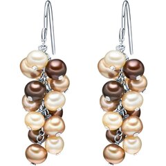 Valero Pearls korvakorut hinta ja tiedot | Korusetit | hobbyhall.fi