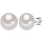 Valero Pearls korvakorut hinta ja tiedot | Korusetit | hobbyhall.fi