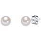 Valero Pearls korvakorut hinta ja tiedot | Korusetit | hobbyhall.fi