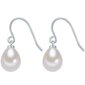 Valero Pearls korvakorut hinta ja tiedot | Korusetit | hobbyhall.fi