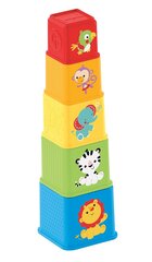 Fisher Price palikat hinta ja tiedot | Vauvan lelut | hobbyhall.fi