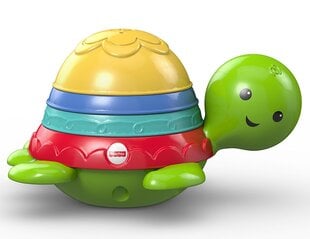 Kylpylelu Fisher Price "Kelluva kilpikonna" hinta ja tiedot | Vauvan lelut | hobbyhall.fi