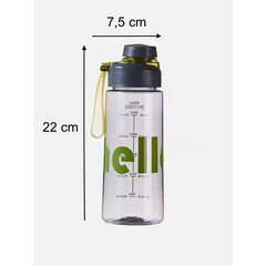 Vesipullo siivilällä, Hello, 650 ml, harmaa hinta ja tiedot | Juomapullot | hobbyhall.fi