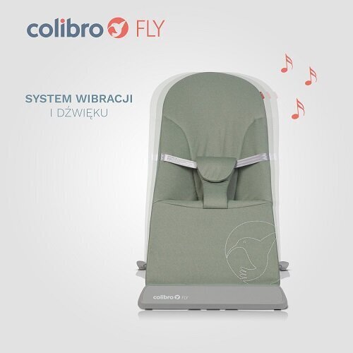 Bed Colibro Fly Jungle hinta ja tiedot | Sitterit | hobbyhall.fi