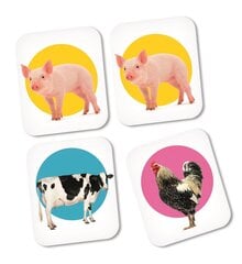 Muistikortit Clementoni Farm Animals, 18082 hinta ja tiedot | Lautapelit ja älypelit | hobbyhall.fi