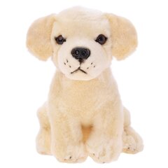 Beppe Pehmolelu labrador koira 20 cm hinta ja tiedot | Pehmolelut | hobbyhall.fi