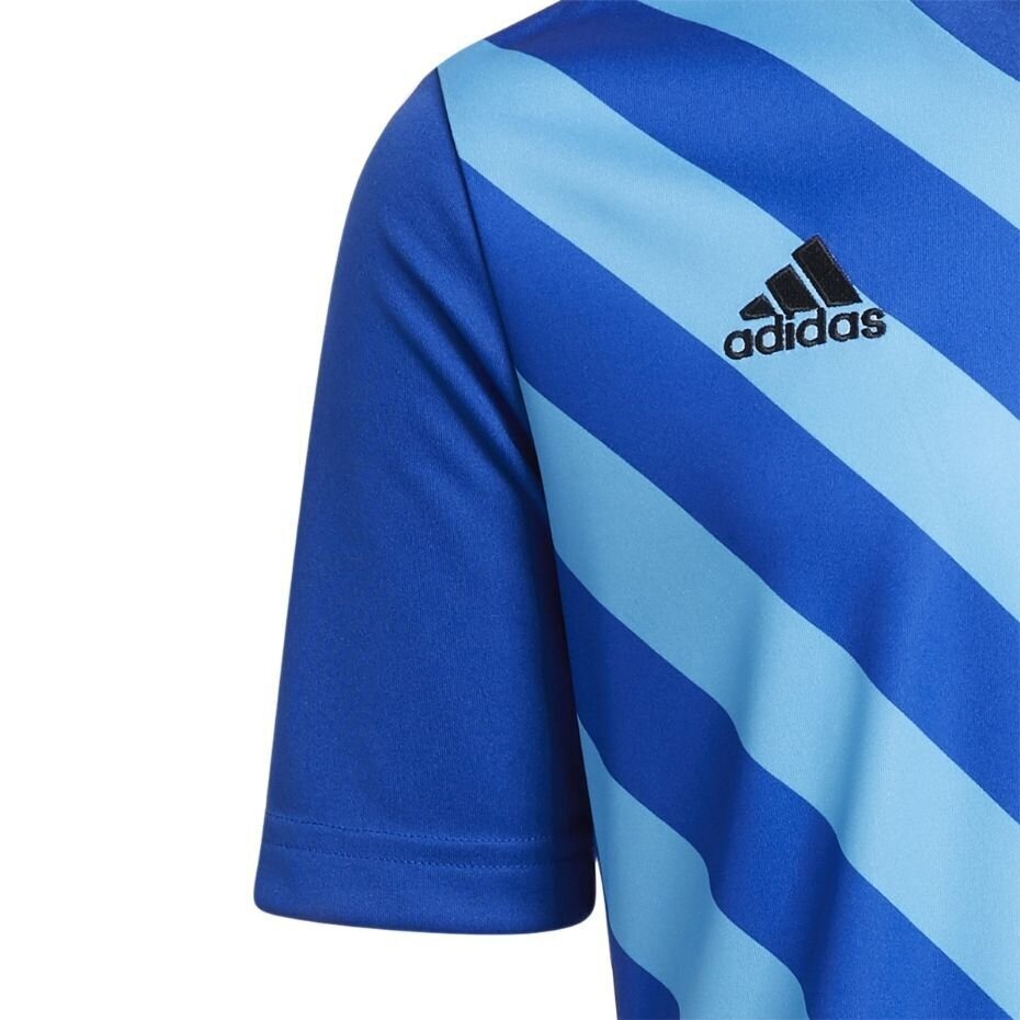 Lasten T-paita Adidas Entrada 22 HF0130 Graphic Jersey, sininen hinta ja tiedot | Jalkapallovaatteet ja -varusteet | hobbyhall.fi