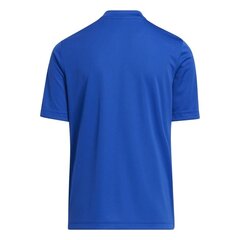 Lasten T-paita Adidas Entrada 22 HF0130 Graphic Jersey, sininen hinta ja tiedot | adidas teamwear Urheilu ja vapaa-aika | hobbyhall.fi