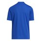 Lasten T-paita Adidas Entrada 22 HF0130 Graphic Jersey, sininen hinta ja tiedot | Jalkapallovaatteet ja -varusteet | hobbyhall.fi