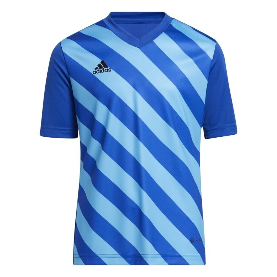 Lasten T-paita Adidas Entrada 22 HF0130 Graphic Jersey, sininen hinta ja tiedot | Jalkapallovaatteet ja -varusteet | hobbyhall.fi