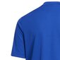 Lasten T-paita Adidas Entrada 22 HF0130 Graphic Jersey, sininen hinta ja tiedot | Jalkapallovaatteet ja -varusteet | hobbyhall.fi