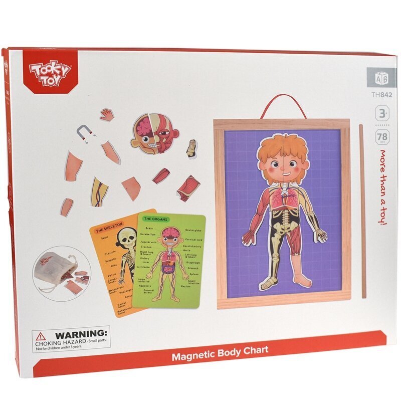 Puinen magneettinen palapeli Tooky "Anatomia" hinta ja tiedot | Lautapelit ja älypelit | hobbyhall.fi