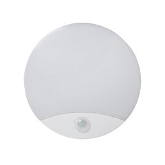 Plafond LED SANSO 15W NW SE, jossa on liiketunnistin hinta ja tiedot | Kattovalaisimet | hobbyhall.fi