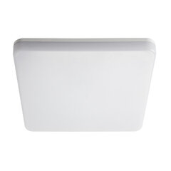 Plafond LED VARSO 24W NW L SE, jossa on liiketunnistin hinta ja tiedot | Puutarha- ja ulkovalot | hobbyhall.fi