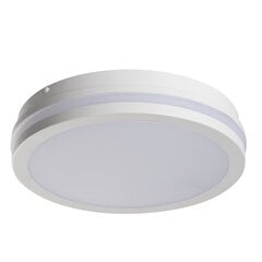 LED Plafond BENO 24W NW O W valkoinen hinta ja tiedot | Puutarha- ja ulkovalot | hobbyhall.fi