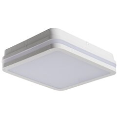 LED Plafond BENO 24W NW L SE W valkoinen hinta ja tiedot | Puutarha- ja ulkovalot | hobbyhall.fi