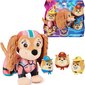 Pehmolelukoira Paw Patrol Liberty, 20 cm hinta ja tiedot | Pehmolelut | hobbyhall.fi