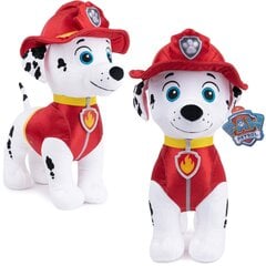 Pehmeä lelu Paw Patrol Marshall, 29 cm hinta ja tiedot | Pehmolelut | hobbyhall.fi