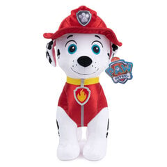 Pehmeä lelu Paw Patrol Marshall, 29 cm hinta ja tiedot | Pehmolelut | hobbyhall.fi