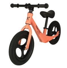 Tasapainopyörä Trike Fix Active X2 hinta ja tiedot | Potkupyörät | hobbyhall.fi